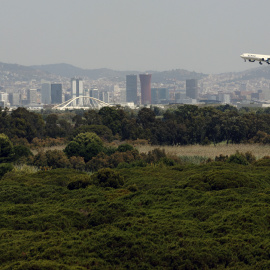 Un avió es disposa aterrant a l'aeroport del Prat