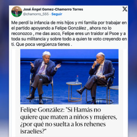 Críticas de un exdiputado del PSOE de MAdrid a Felipe González.