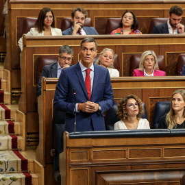 El presidente del Gobierno, Pedro Sánchez, durante una sesión de control al Gobierno.