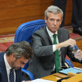 El presidente de la Xunta, Alfonso Rueda, la semana pasada en el Parlamento de Galicia.