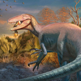 El dinosaurio y su presa. Reconstrucción del 'Joaquinraptor casali'.