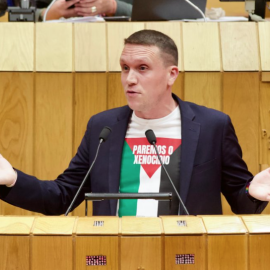 El diputado autonómico socialista Aitor Bouza, con una camiseta de apoyo a Palestina, este lunes en el Parlamento de Galicia.