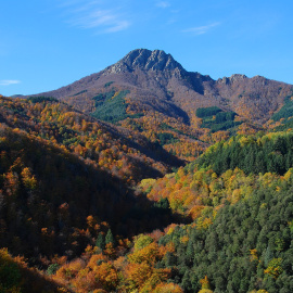 Imatge de tardor a Les Agudes, al Montseny