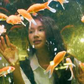 Los peces viven sensiblemente menos que los humanos, aunque bien cuidados pueden durar mucho.