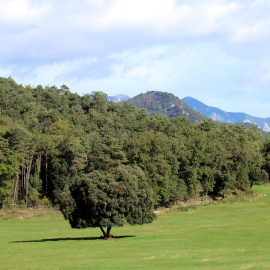 El projecte preveu la construcció d'un segon pantà al pla de Clarà, a la Nou del Berguedà