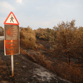 Imagen de una carretera junto a una zona quemada en A Gudiña (Ourense), tomada a finales de agosto pasado.