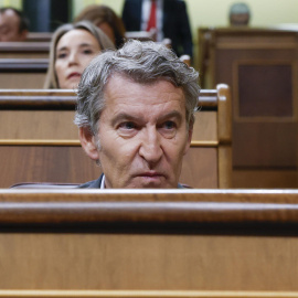 El líder del Partido Popular, Alberto Núñez-Feijóo, asiste a la sesión de control al Gobierno en el Congreso de los Diputados en Madrid, este miércoles.