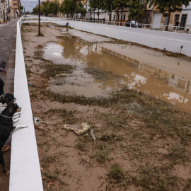 Una mujer y sus dos perros observan el barranco de La Saleta tras su desbordamiento, en Aldaia, València.
