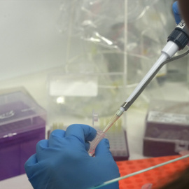 Una científica introduce líquido en una probeta (Archivo)