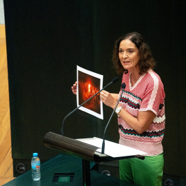 La variedad de posiciones en torno a Gaza marca el Pleno de Cibeles, en Madrid.