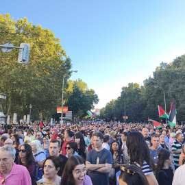 Miles de personas claman por el fin del genocidio este sábado en Madrid, cerca de Cibeles.