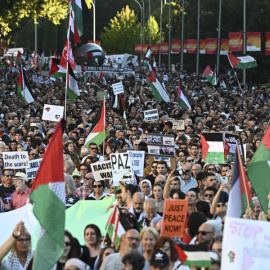 Manifestación por Palestina en Madrid.