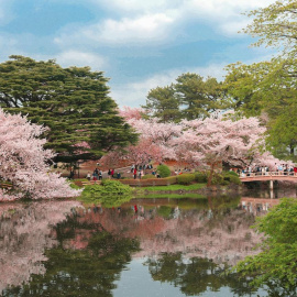 Imagen de un jardín tradicional japonés.