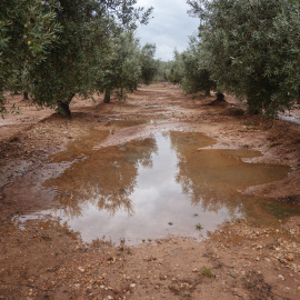 Efectes dels aiguats en una finca de Freginals