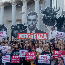 Los firmantes de la ILP 'No es mi cultura' se manifestaron en el Congreso tras la abstención del PSOE que tumbó la iniciativa el pasado 7 de octubre.