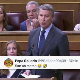 Reacciones a las palabras de Feijóo en el Congreso.