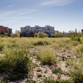 (Foto de ARCHIVO)Los terrenos de la antigua cárcel de Carabanchel donde se van a construir viviendas, a 12 de abril de 2023, en Madrid, (España). Los terrenos de la antigua cárcel de Carabanchel se convertirán en un nuevo desarrollo urbanístico de 170.000 metros cuadrados con 600 viviendas, de las cuales el 30% serán protegidas. Este solar forma parte del listado de nuevos desarrollos urbanos de la ciudad, y presentará los compromisos electorales del Partido Popular (PP) para los nuevos barrios de Madrid. Las nuevas viviendas serán para 500.000 habitantes de la capital, lo que supondría, a su vez, ser la séptima ciudad más poblada de España, superior a ciudades como Murcia, Palma de Mallorca, Bilbao o Alicante.Carlos Luján / Europa Press12 ABRIL 2023;VIVIENDAS;ANTIGUA CARCEL;TERRENOS;HABITANTES;CARABANCHEL12/4/2023