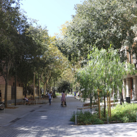 Imatge de l'eix verd del carrer Consell de Cent, a Barcelona.