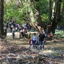 Visitants a la zona del castanyer de les nou branques a Viladrau