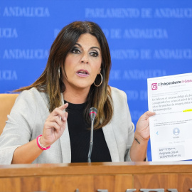 La portavoz adjunta del Grupo Parlamentario Socialista, Ángeles Férriz (foto de archivo).