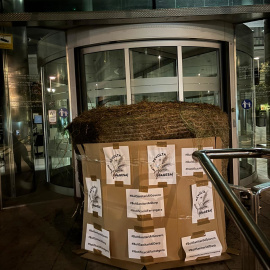 Bala de palla a les portes de l'oficina de Girona