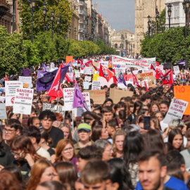 Pancartas durante la huelga general estudiantil en solidaridad con la menor que murió por suicidio en Sevilla.