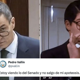 Los tuiteros comentan el 'look' de Pedro Sánchez en la comisión del Senado.