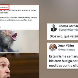 El tuit del PP comparando a Óscar Puente con un primate.
