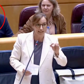 La pillada a Javier Arenas en el Senado.