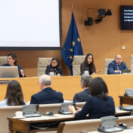 Comisión de Investigación de la DANA en el Congreso de los Diputados.