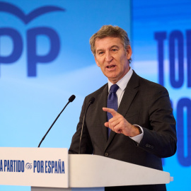 El presidente del Partido Popular, Alberto Núñez Fejióo, interviene en un acto en Santander.