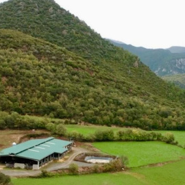 Imatge de la granja lletera SAT Brams, que acaba de tancar al Pallars.