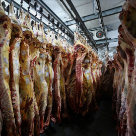 Reses abiertas en canal cuelgan en la cámara frigorífica de una planta procesadora en Morón, en el área metropolitana de Buenos Aires (Argentina).