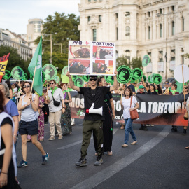 Foto de archivo de manifestantes antitaurinos por la Misión Abolición 2025.