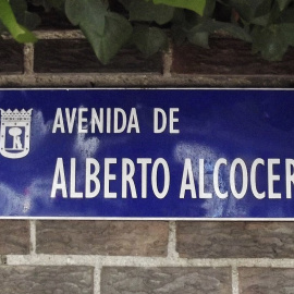 Avenida de Alberto Alcocer.