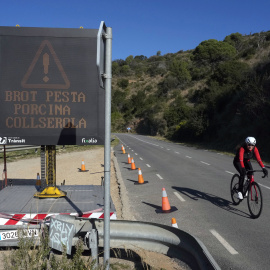 Un cartel avisa del brote de peste porcina africana en los accesos al Parque Natural de Collserola.