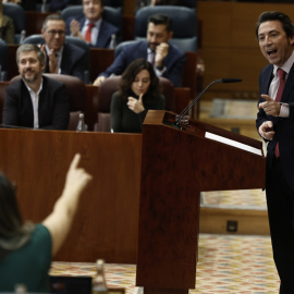 El diputado del PP, Francisco Alonso Bernal interviene en el pleno de la Asamblea madrileña.