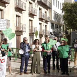 Miembros de la Plataforma por la reversión del Hospital del Vinalopó.