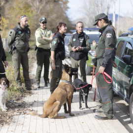 Agentes Rurales muestran cómo trabajan los agentes caninos para localizar jabalíes.