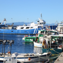 Imatge recent del port de Roses, a l'Alt Empordà.