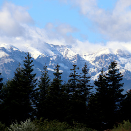 Detall d'uns avets de la urbanització La Corona de Bolvir (Cerdanya) amb la part alta de la serra del Cadí enfarinada al fons