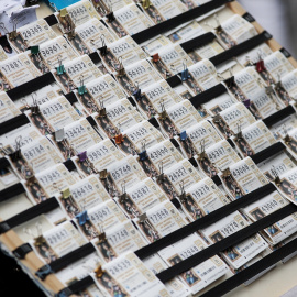 Panel con los boletos de Lotería de Navidad.