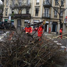 Bomberos en Badalona recogen los restos de un árbol caído, a 20 de diciembre de 2025.