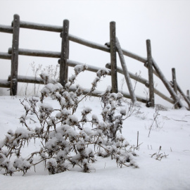Nieve en el Puerto de Cotos, a 2 de diciembre de 2025, en Madrid.