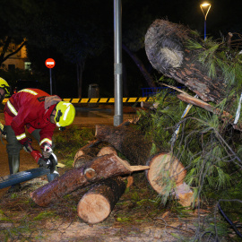 Bomberos de Marbella, tras el temporal, este sábado.