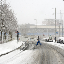 Varias personas disfrutan de la nieve en la calle de Vitoria, en Vitoria.