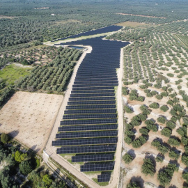 Parc solar dels Valentins, a Ulldecona