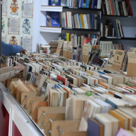EuropaPress_6707702_mujer_observa_libros_47_feria_libro_antiguo_ocasion_mayo_2025_madrid_espana