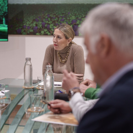 La presidenta de la Junta de Extremadura en funciones, María Guardiola, durante una reunión con las OPAS, en la Presidencia de la Junta de Extremadura, a 27 de enero de 2026, en Mérida, Extremadura (España).