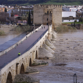 El Puente Romano de Córdoba ante la subida del caudal del río Guadalquivir, este viernes.